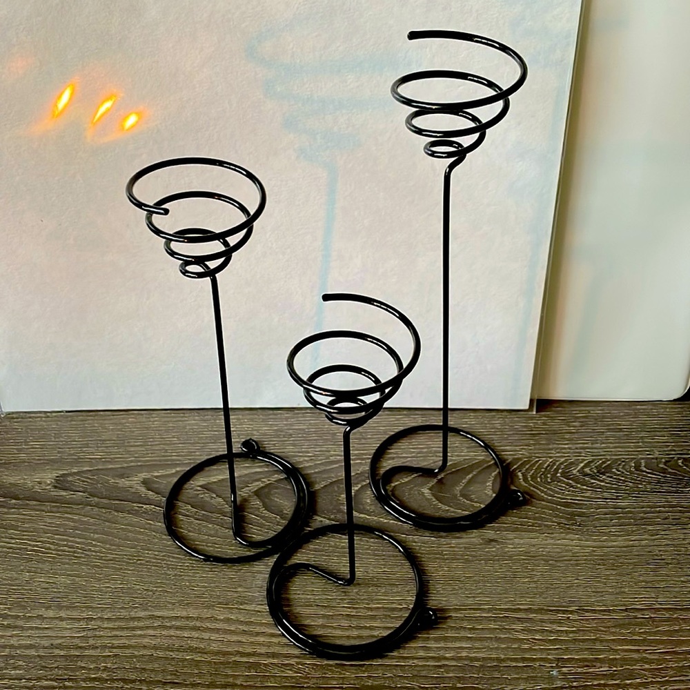 Air plant holders